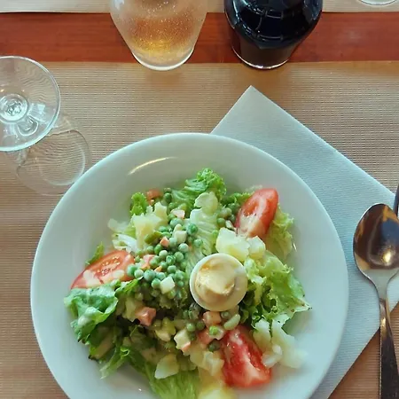 Hotel Gergovia Super Besse