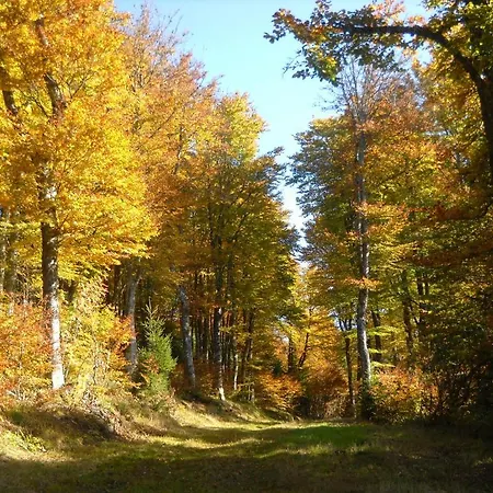 Gergovia Besse-et-Saint-Anastaise