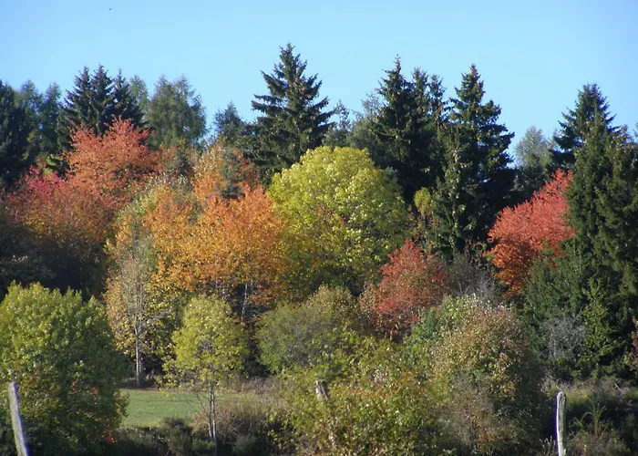 Gergovia Super Besse